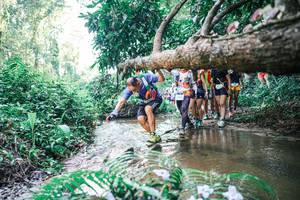 BIB: 
                            <button type="button" onclick="openModal(25466021)" class="btn btn-primary btn-sm float-right btn-popup" data-toggle="modal" data-target=".modal-high-quality">
                        <i class="fas fa-shopping-cart"></i> Add to Cart
                    </button>
                                            <button type="button" onclick="isThisMe(25466021, true)" class="btn btn-success btn-sm float-right btn-popup btn-isme hidden" data-toggle="tooltip" data-placement="bottom" title="นี่คือรูปของคุณใช่ไหม คลิกที่นี่เพื่อเอาเข้าอัลบั้ม">
                        <i class="fas fa-plus"></i> Add to album
                    </button>
                    <button type="button" onclick="isThisMe(25466021, false)" class="btn btn-warning btn-sm float-right btn-popup btn-isnotme hidden">
                        <i class="fas fa-ban"></i> Remove from album
                    </button>